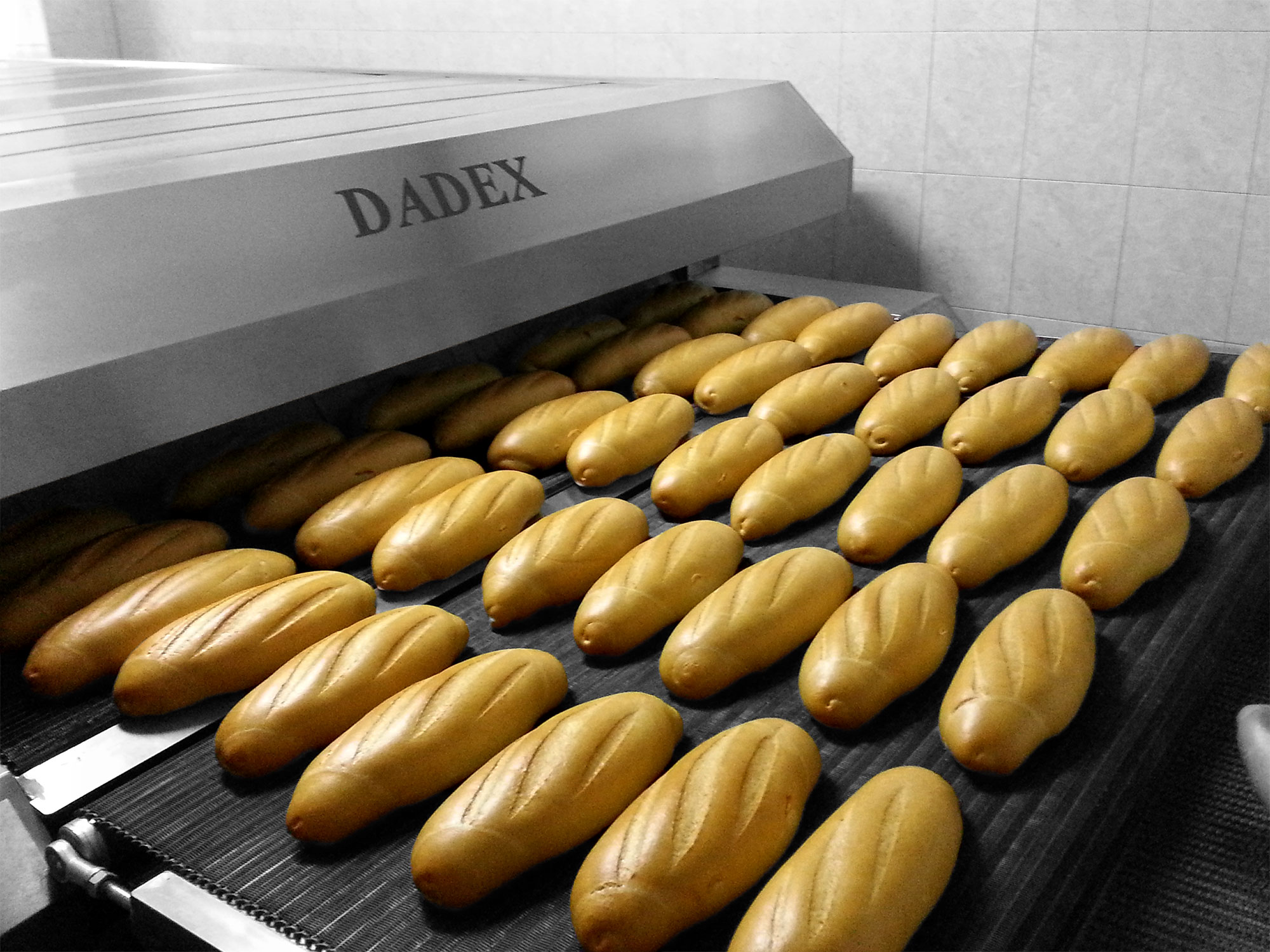 Producție pâine pe linie cuptor tunel DADEX